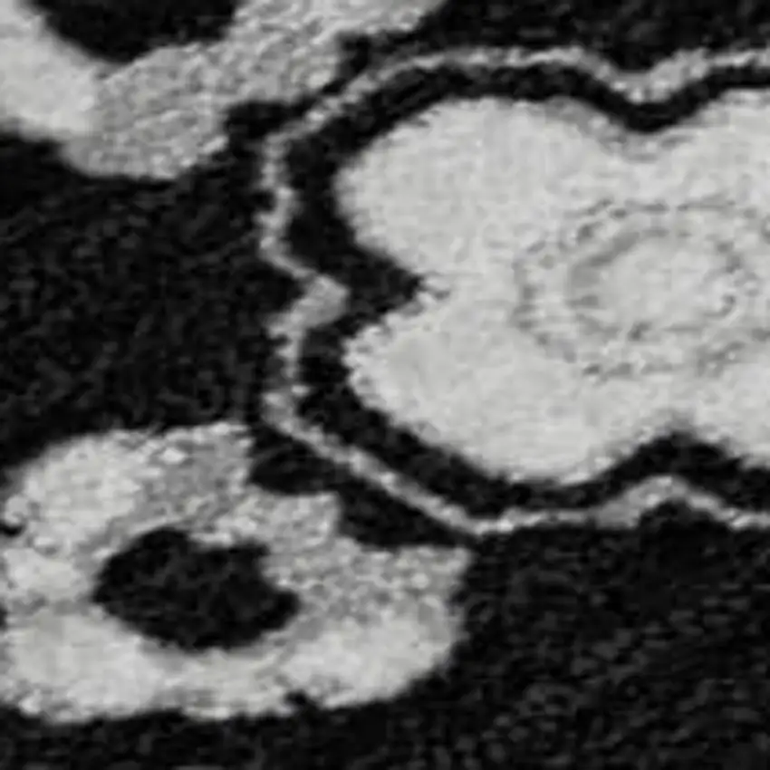 Black And Ivory Medallion Washable Area Rug With UV Protection Photo 3