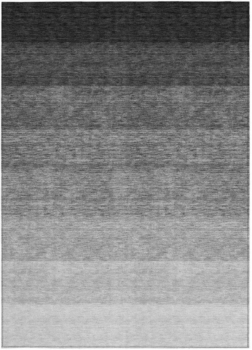 Black And Ivory Ombre Washable Indoor Outdoor Area Rug Photo 6