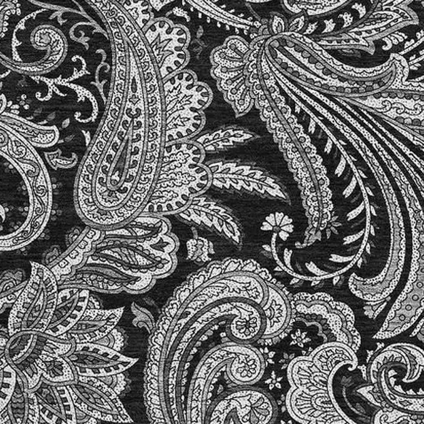 Black And Ivory Paisley Washable Area Rug With UV Protection Photo 4