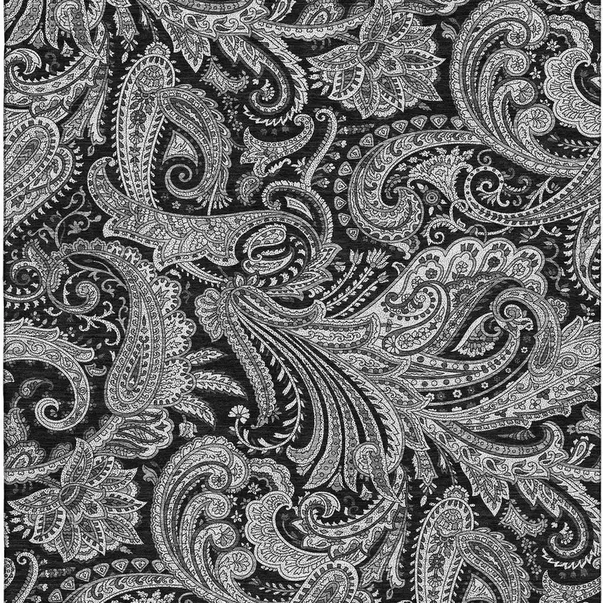 Black And Ivory Paisley Washable Area Rug With UV Protection Photo 3