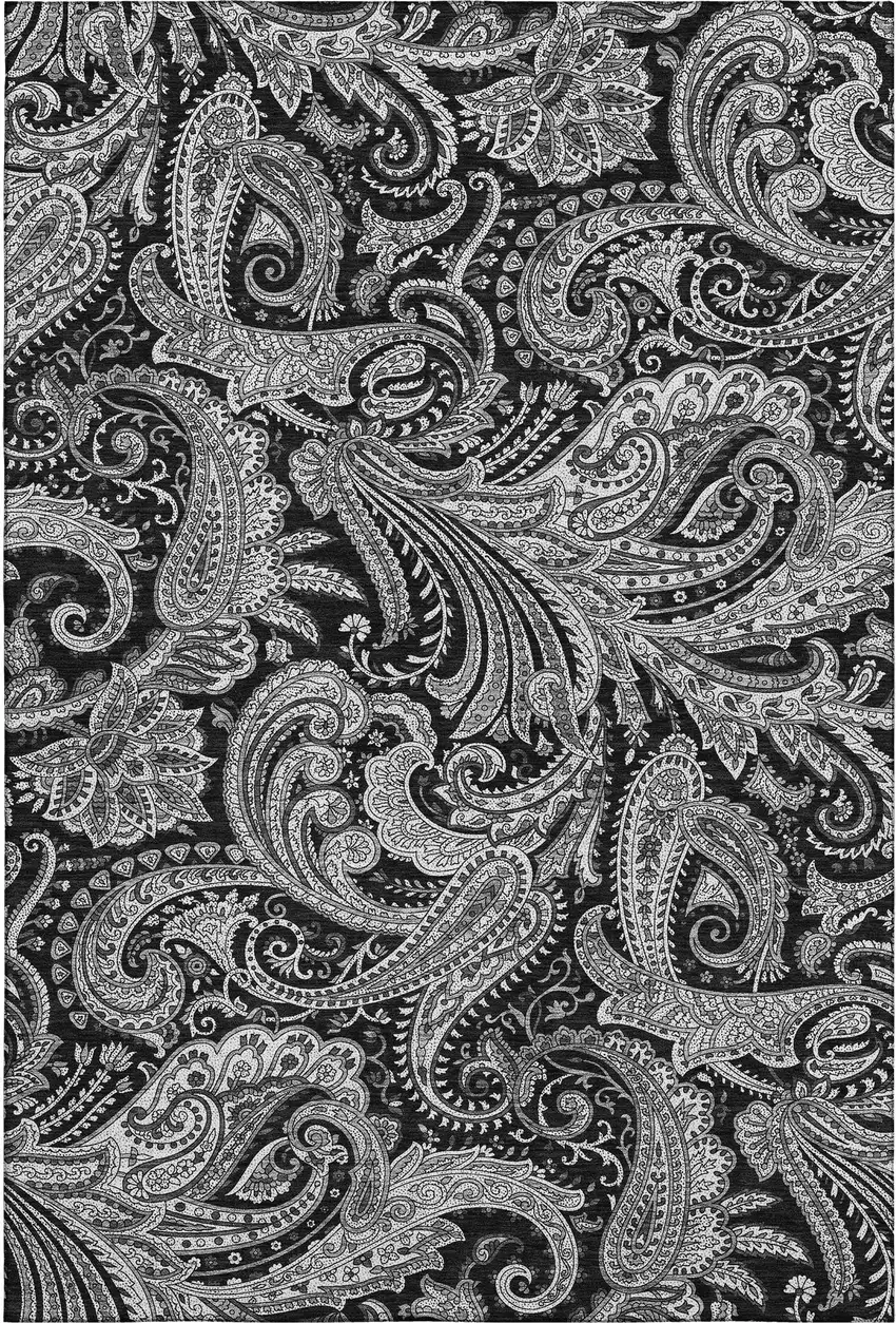 Black And Ivory Paisley Washable Area Rug With UV Protection Photo 2