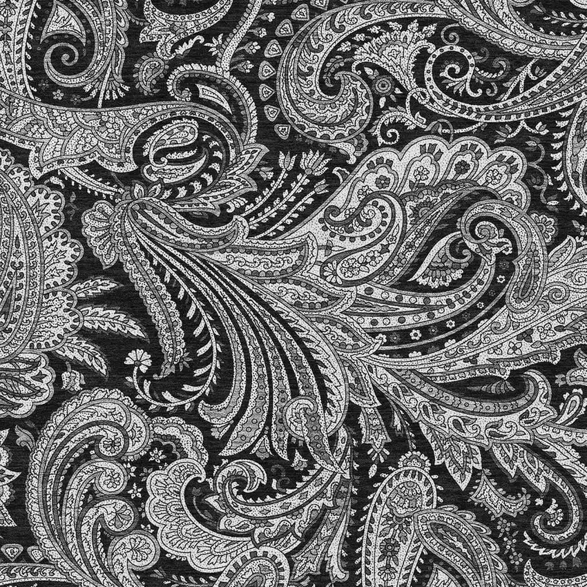 Black And Ivory Paisley Washable Area Rug With UV Protection Photo 4