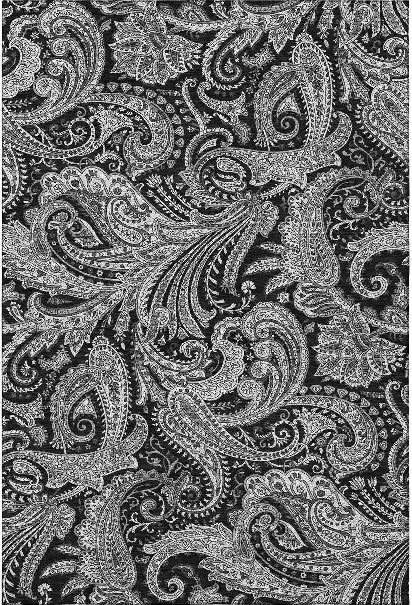 Black And Ivory Paisley Washable Area Rug With UV Protection Photo 4