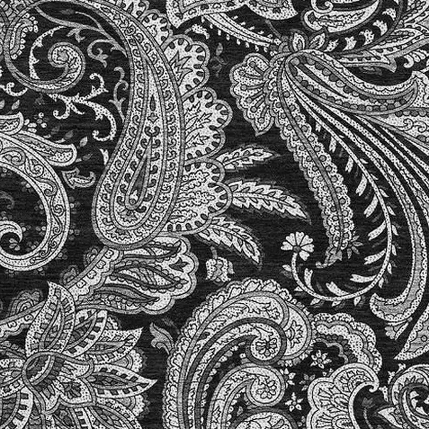Black And Ivory Paisley Washable Area Rug With UV Protection Photo 5