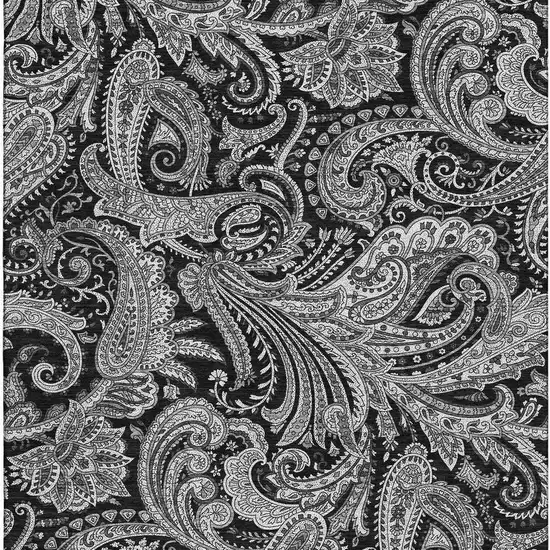Black And Ivory Paisley Washable Area Rug With UV Protection Photo 4