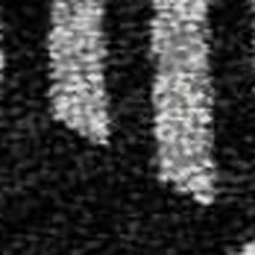 Black And Ivory Plaid Washable Area Rug With UV Protection Photo 9