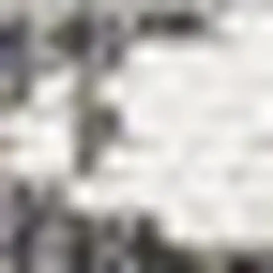 Black And Ivory Striped Indoor Outdoor Area Rug Photo 2