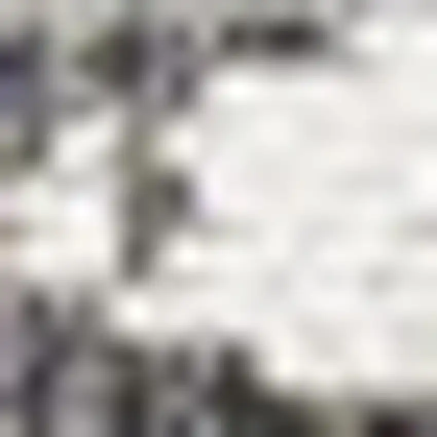 Black And Ivory Striped Indoor Outdoor Area Rug Photo 2