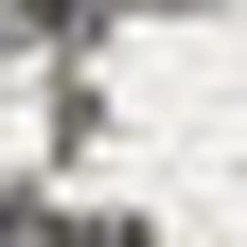 Black And Ivory Striped Indoor Outdoor Area Rug Photo 2