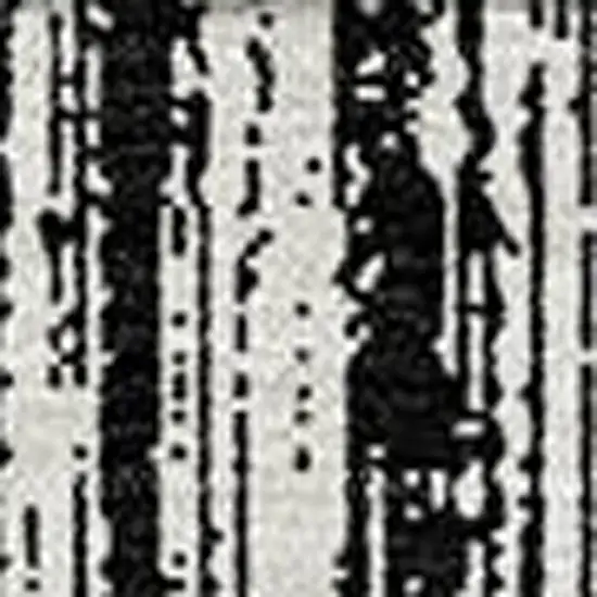 Black And Ivory Striped Washable Indoor Outdoor Area Rug Photo 4
