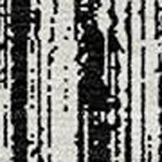 Black And Ivory Striped Washable Indoor Outdoor Area Rug Photo 4