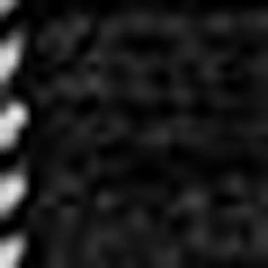 Black And Ivory Striped Washable Indoor Outdoor Area Rug Photo 6