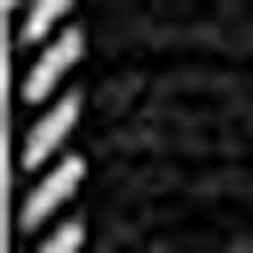 Black And Ivory Striped Washable Indoor Outdoor Area Rug Photo 6