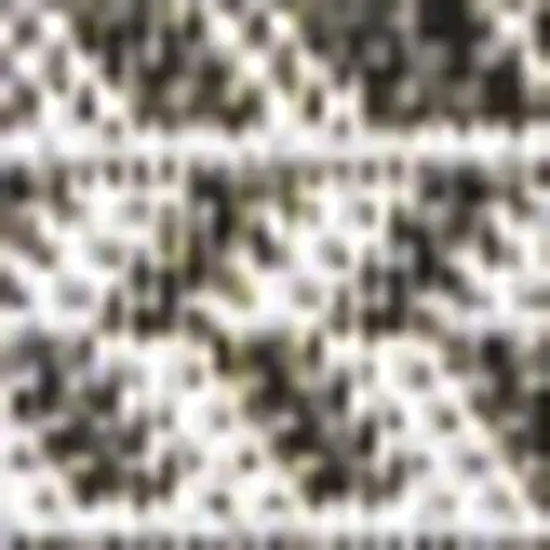 Black And Light Gray Striped Indoor Outdoor Area Rug Photo 3