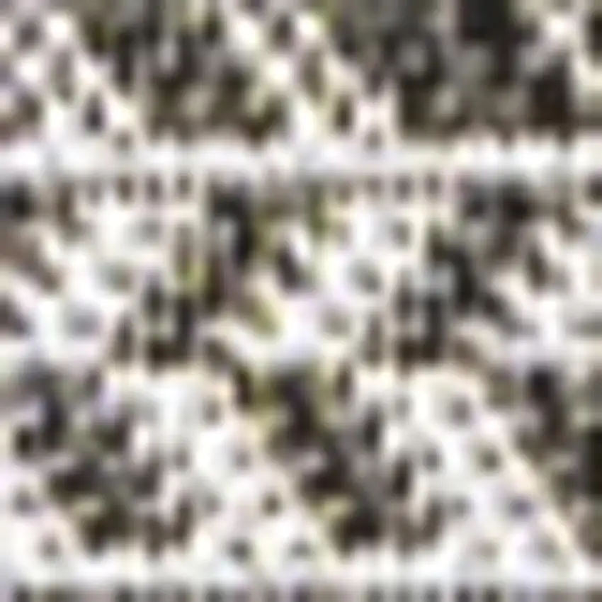 Black And Light Gray Striped Indoor Outdoor Area Rug Photo 3