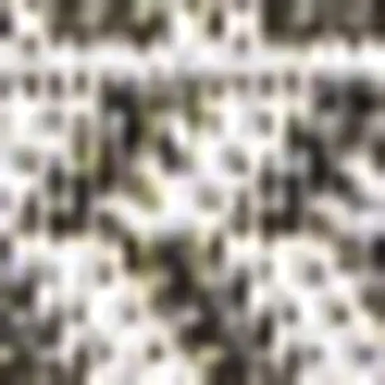 Black And Light Gray Striped Indoor Outdoor Area Rug Photo 2