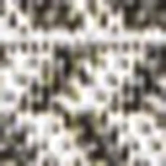 Black And Light Gray Striped Indoor Outdoor Area Rug Photo 2