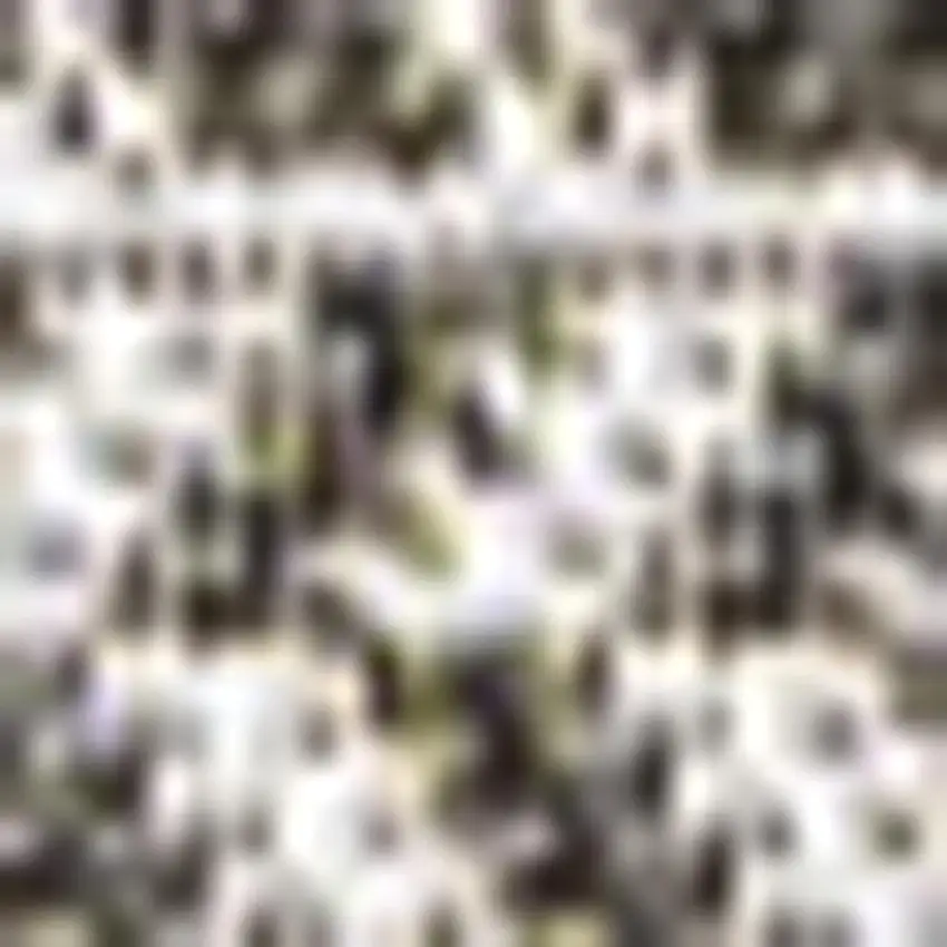 Black And Light Gray Striped Indoor Outdoor Area Rug Photo 2