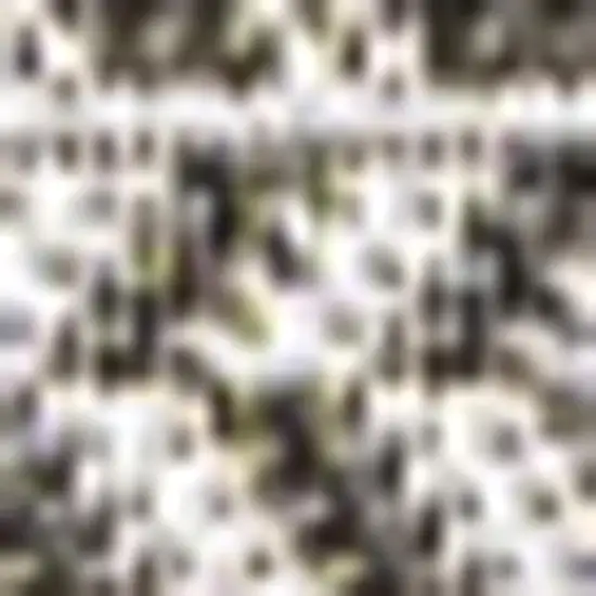 Black And Light Gray Striped Indoor Outdoor Area Rug Photo 2