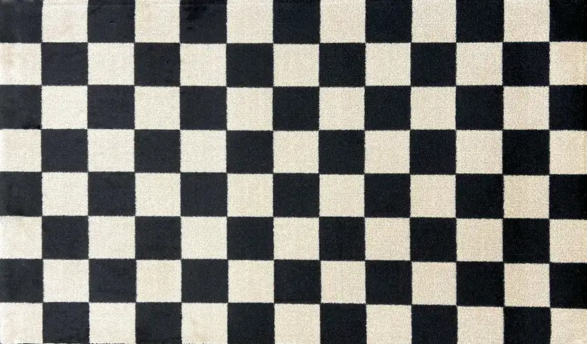 Black And Off White Checkered Washable Area Rug With UV Protection Photo 2