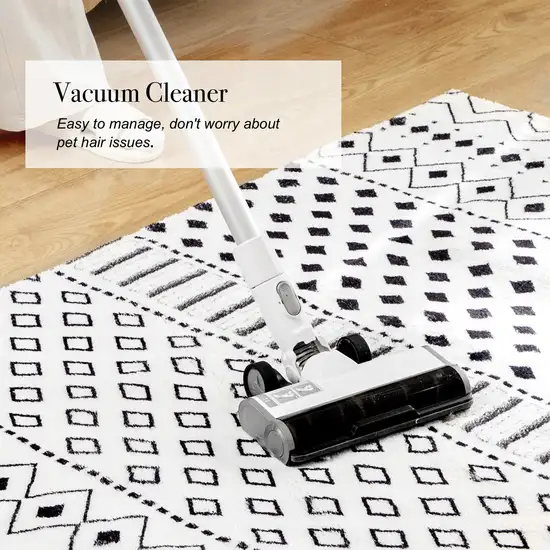 Black And Off White Geometric Area Rug Photo 4