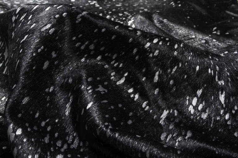 Black And Silver Cowhide - Area Rug Photo 2