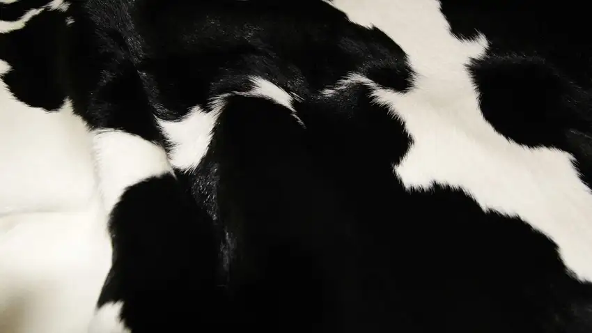 Black And White Calfskin - Area Rug Photo 2