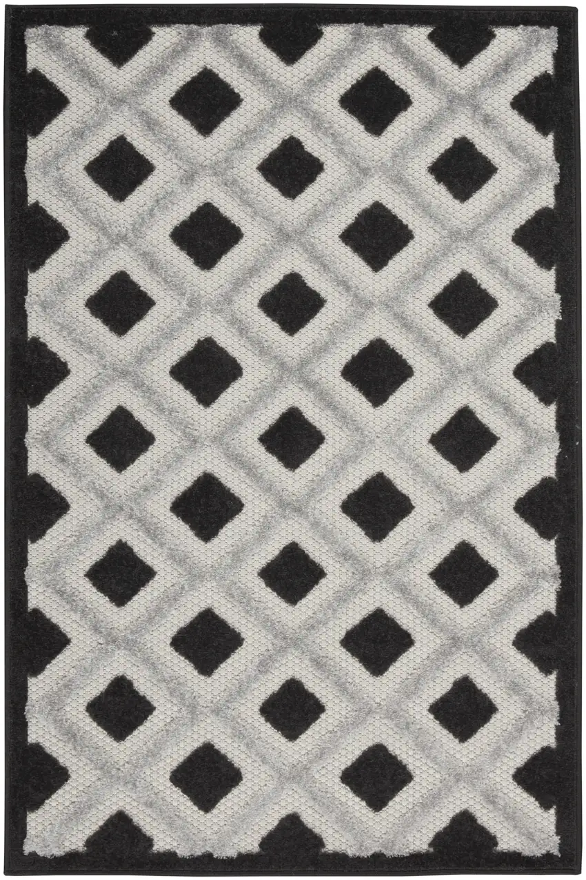 Black And White Indoor Outdoor Area Rug Photo 1