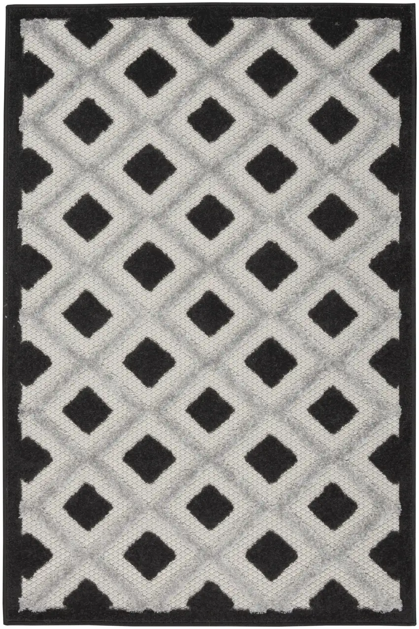 Black And White Indoor Outdoor Area Rug Photo 3
