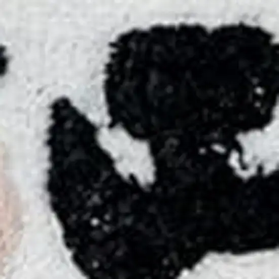 Black And White Kitty Cat Youthful Washable Area Rug Photo 4