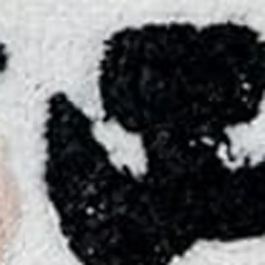 Black And White Kitty Cat Youthful Washable Area Rug Photo 4