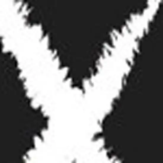 Black And White XOXO Youthful Washable Area Rug Photo 4