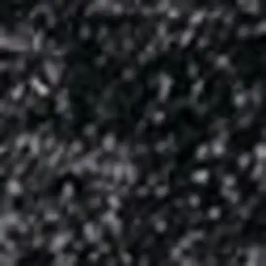 Black Area Rug Photo 3