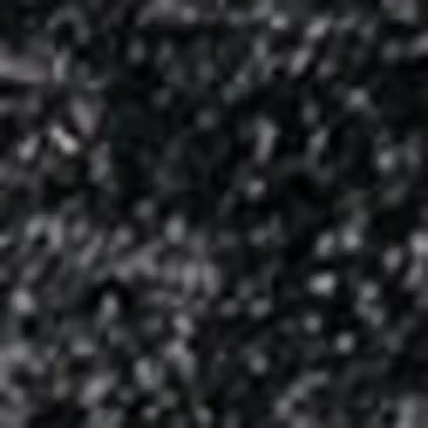 Black Area Rug Photo 3