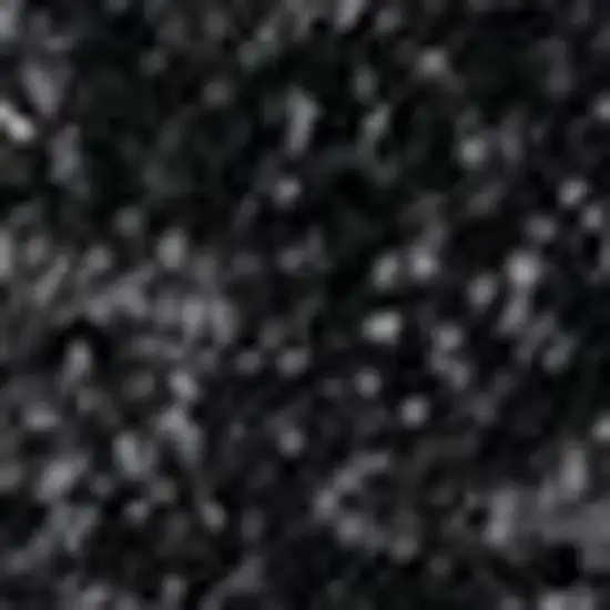 Black Area Rug Photo 3