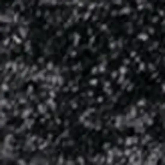 Black Area Rug Photo 4