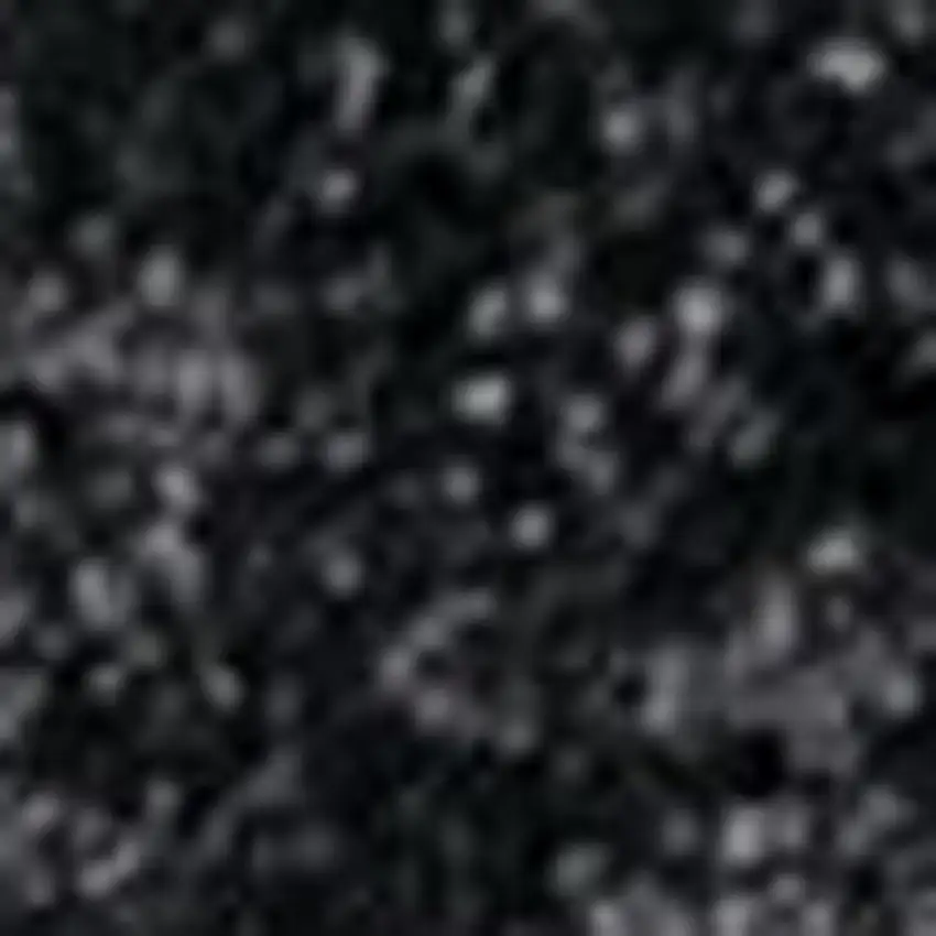 Black Area Rug Photo 3