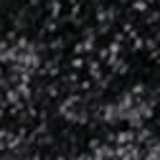 Black Area Rug Photo 3