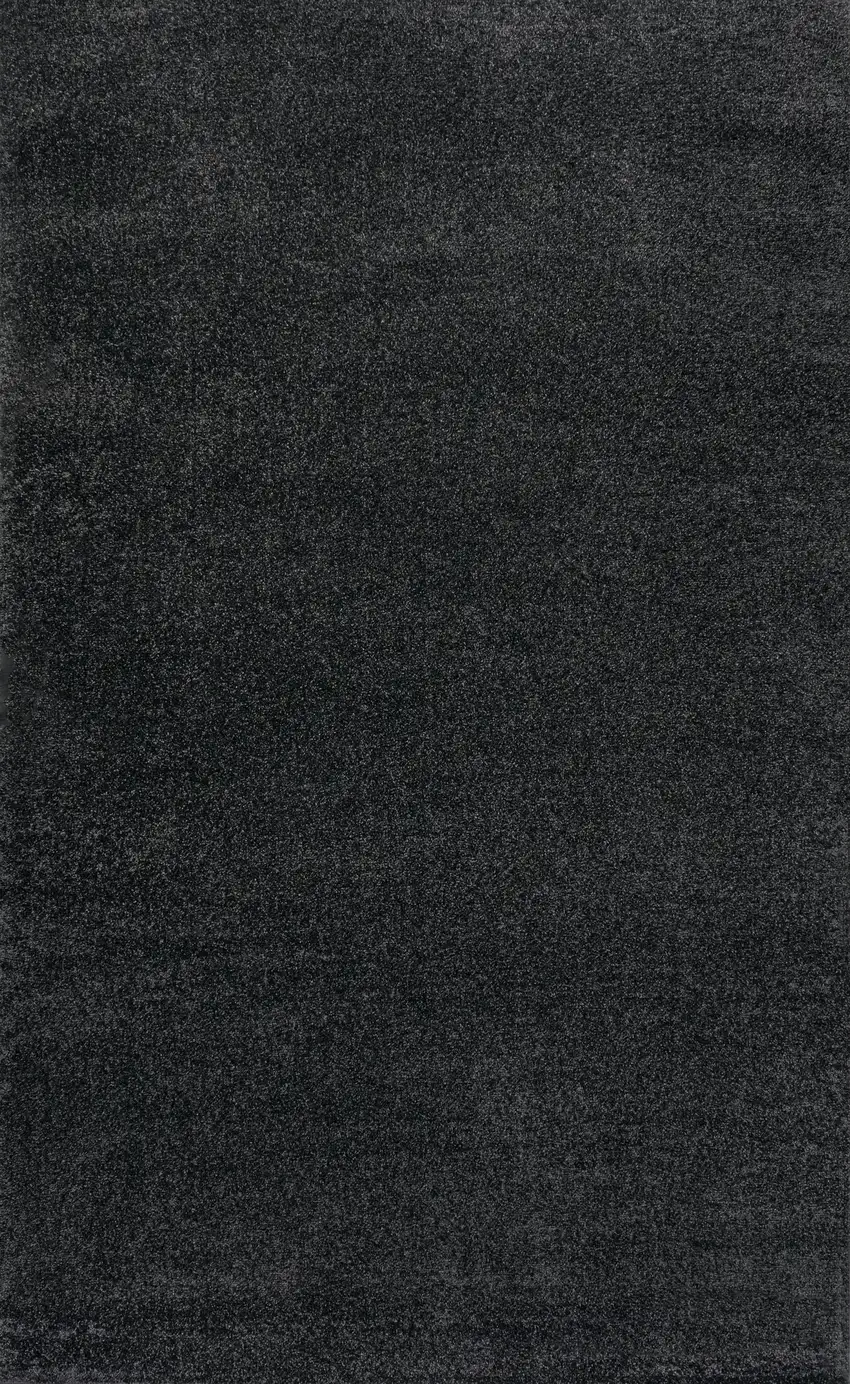 Black Area Rug Photo 1
