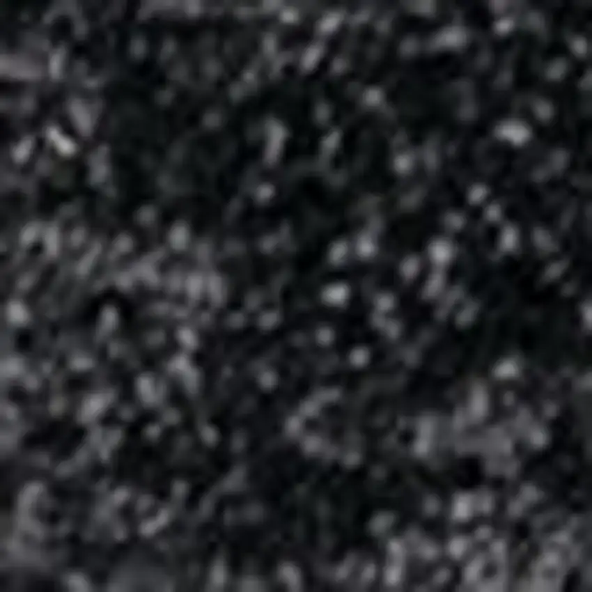 Black Area Rug Photo 4