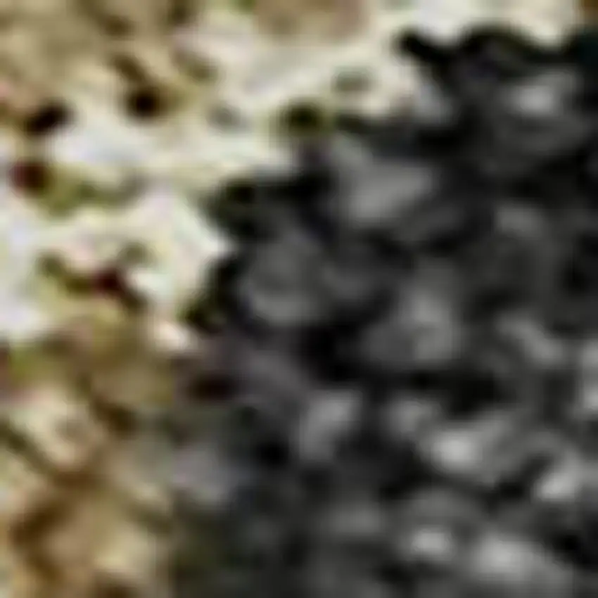 Black Beige And Silver Striped Washable Area Rug With UV Protection Photo 3