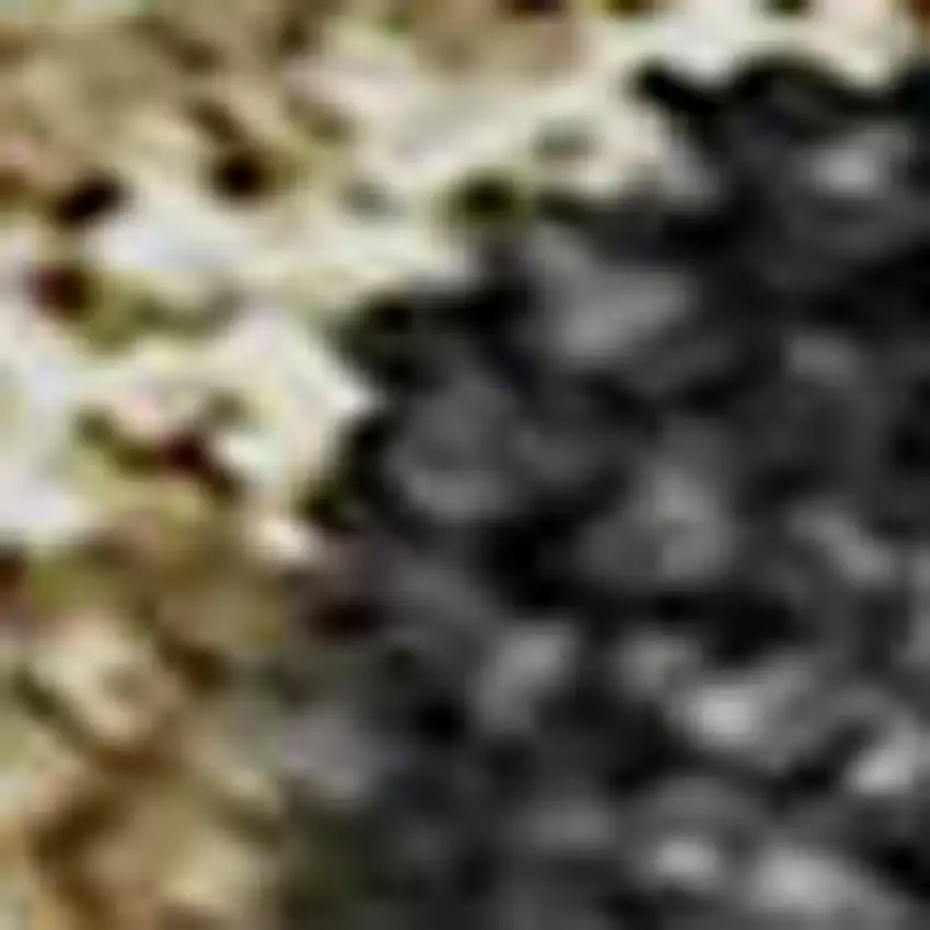 Black Beige And Silver Striped Washable Area Rug With UV Protection Photo 3