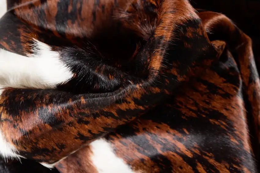 Black Brown And White Cowhide Hand Knotted Area Rug Photo 7