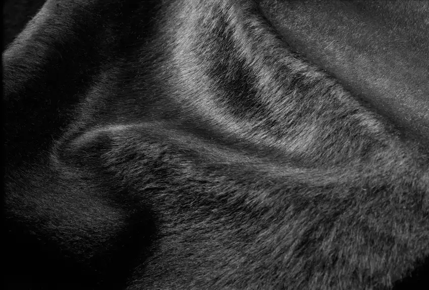 Black Cowhide - Rug Photo 3
