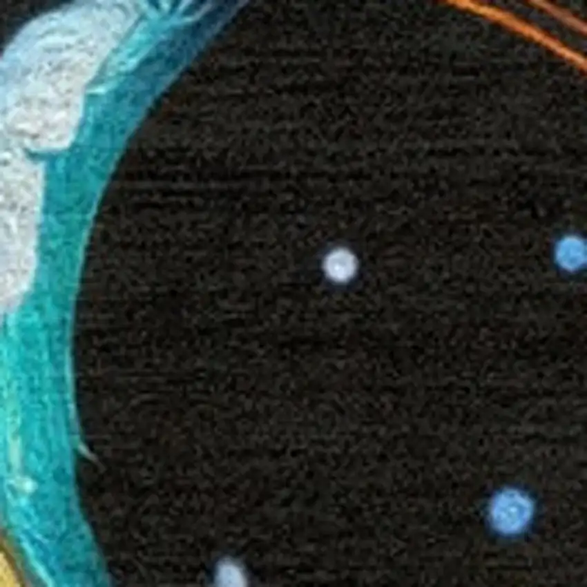 Black Flatweave Area Rug Photo 3