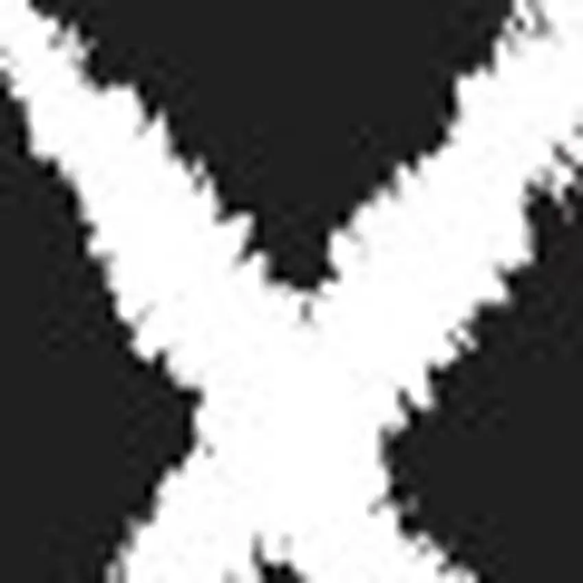 Black Flatweave Area Rug Photo 3