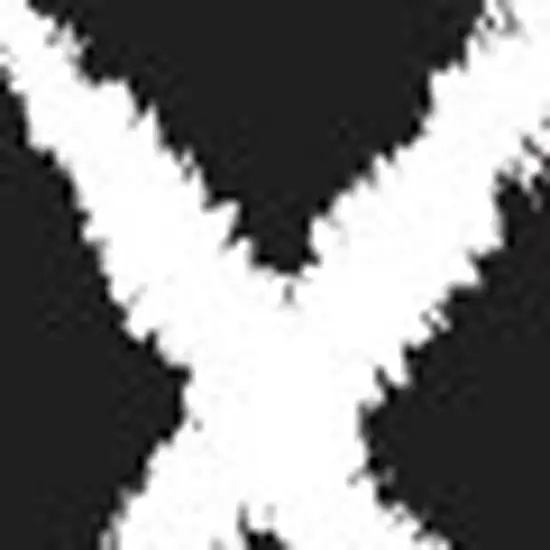 Black Flatweave Area Rug Photo 3