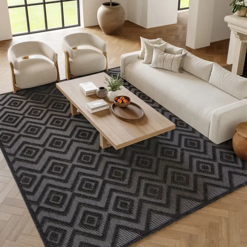 Black Indoor Outdoor Area Rug Photo 7
