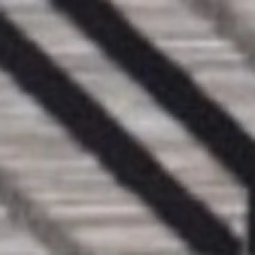 Black And Tan Indoor Outdoor Area Rug Photo 3