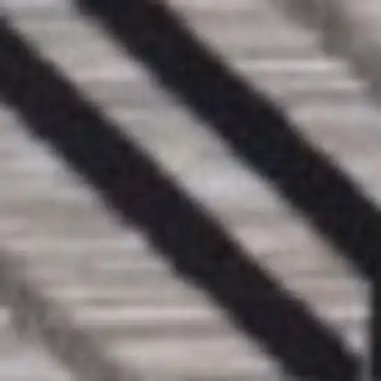 Black And Tan Indoor Outdoor Area Rug Photo 3